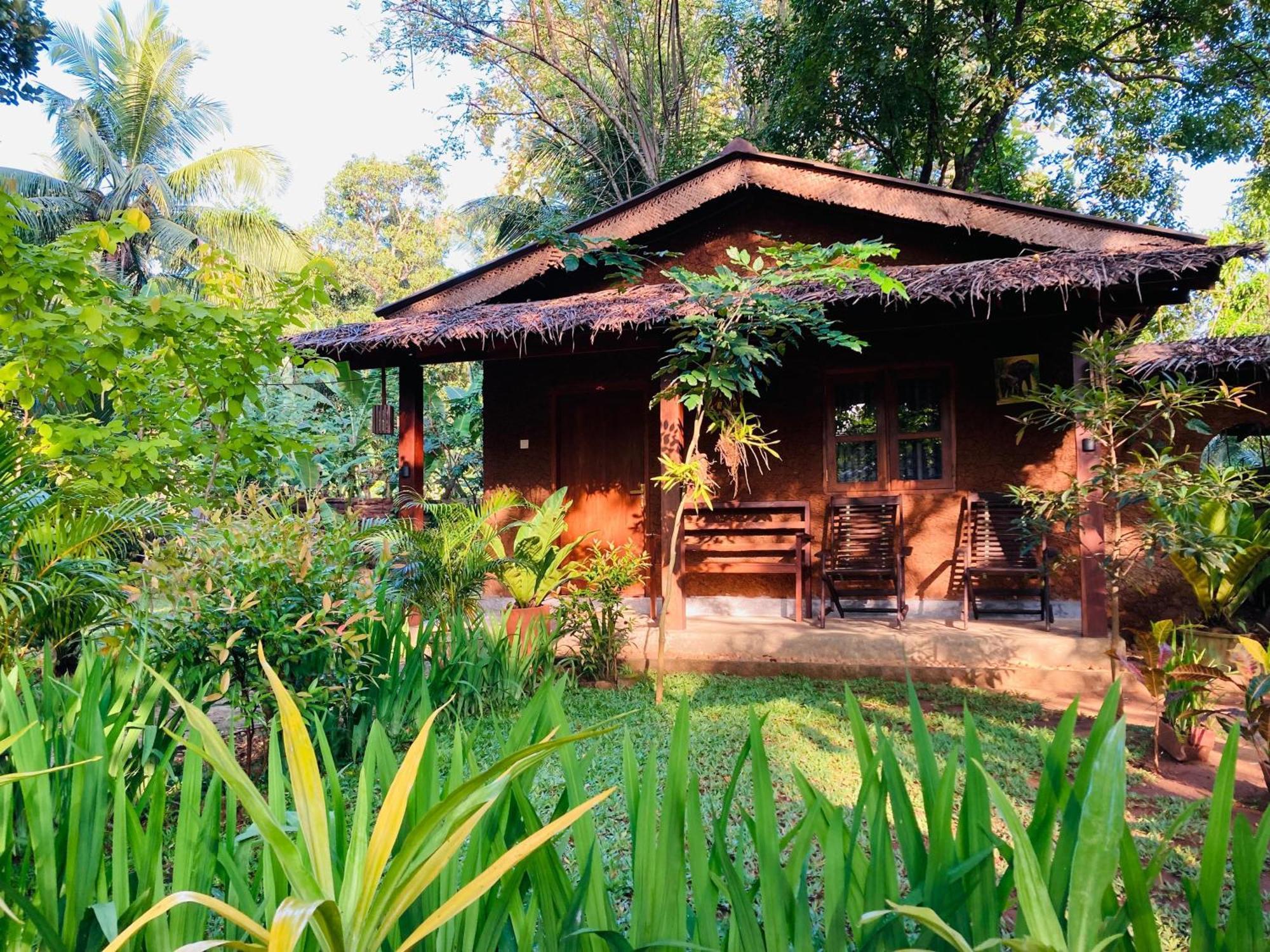 Green Paradise Cottage Udawalawa Udawalawe Bagian luar foto
