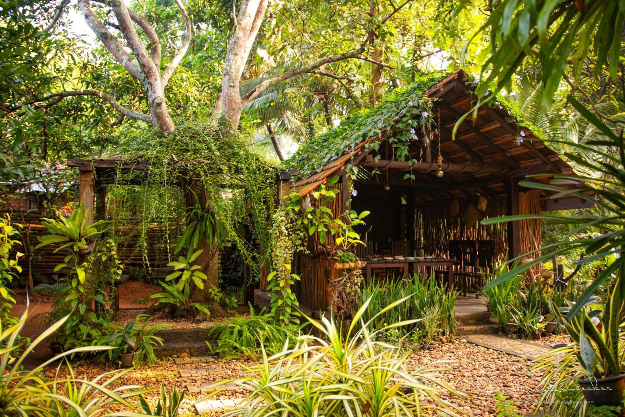 Green Paradise Cottage Udawalawa Udawalawe Bagian luar foto