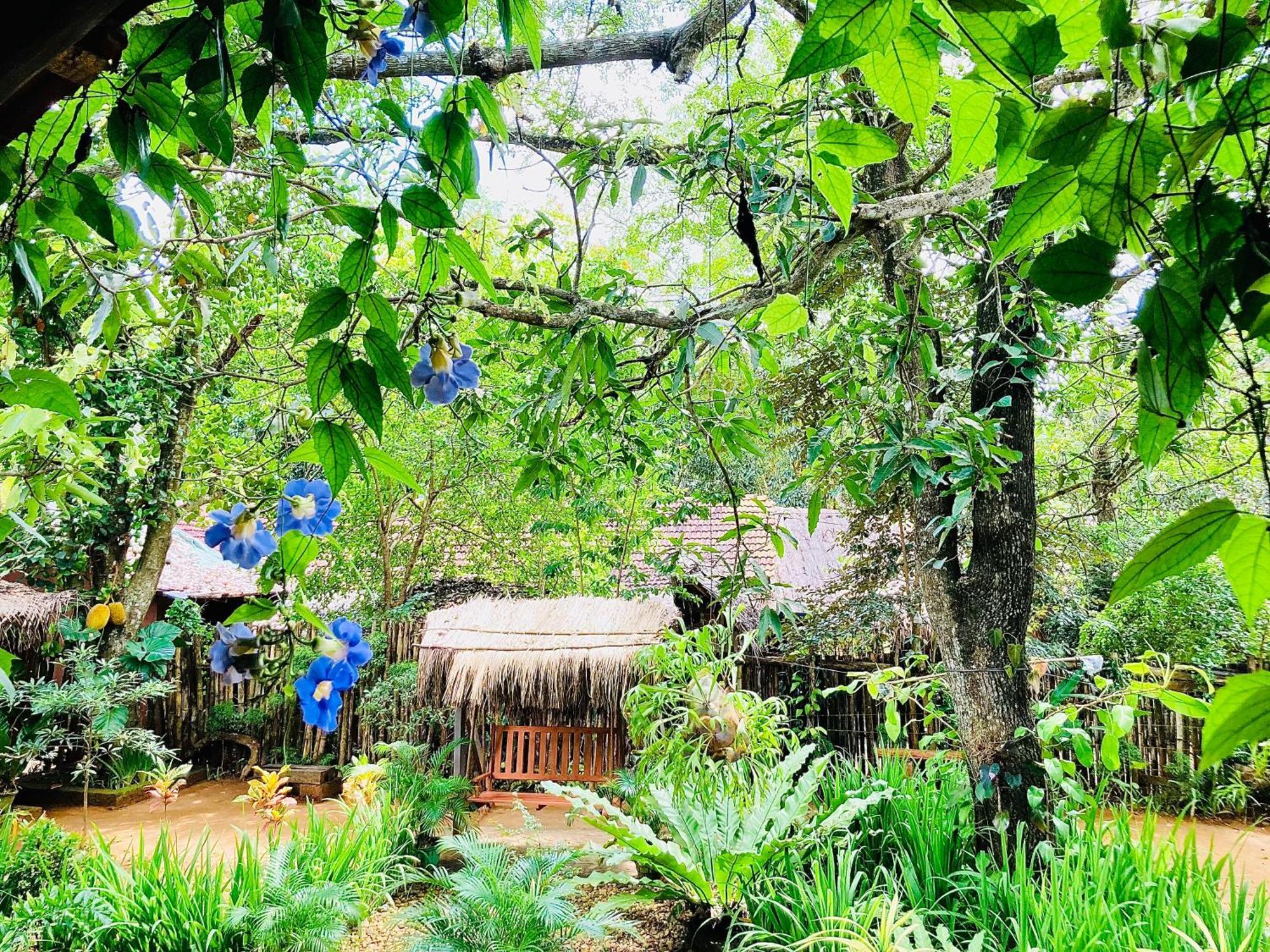 Green Paradise Cottage Udawalawa Udawalawe Bagian luar foto