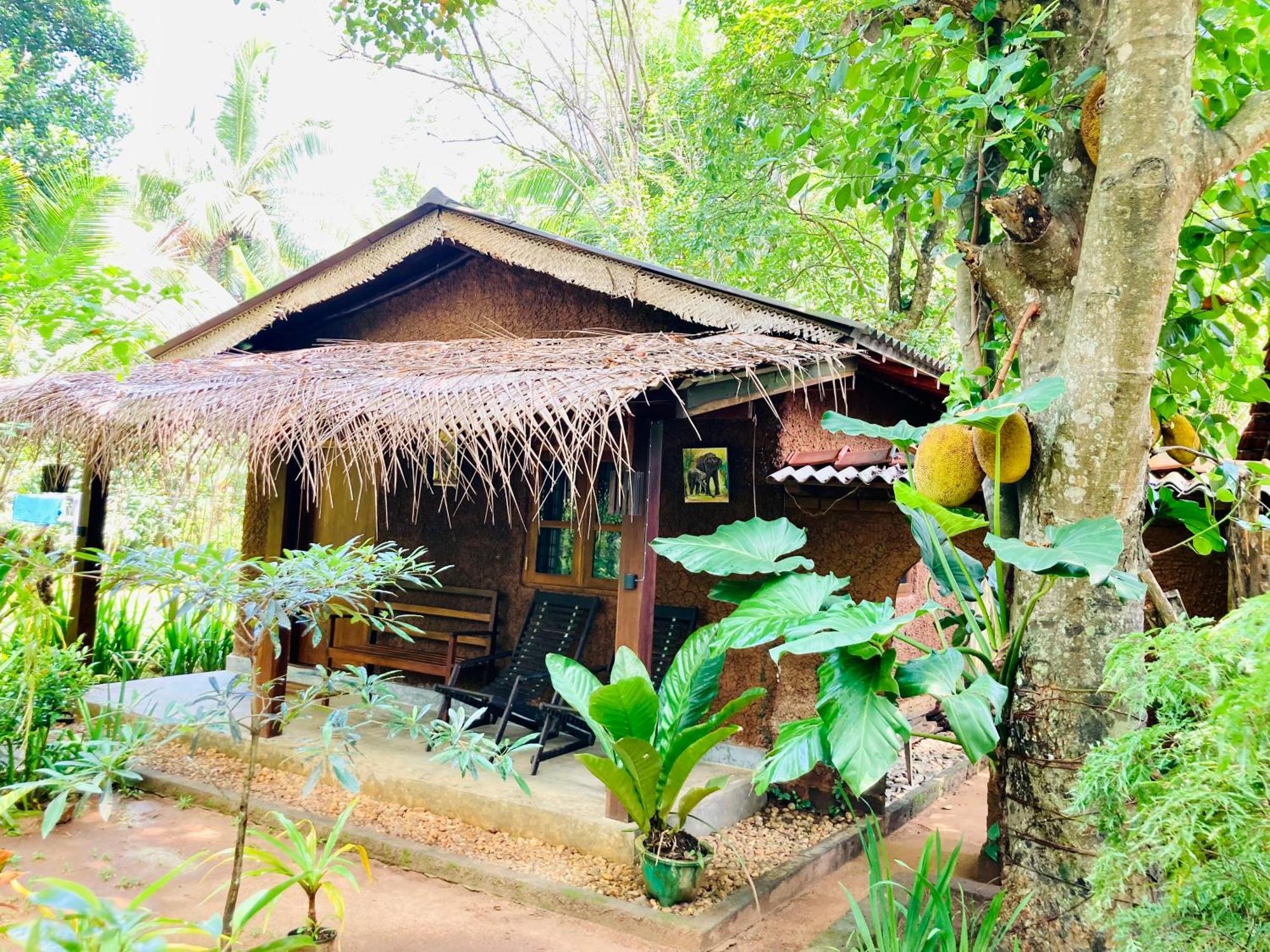 Green Paradise Cottage Udawalawa Udawalawe Bagian luar foto