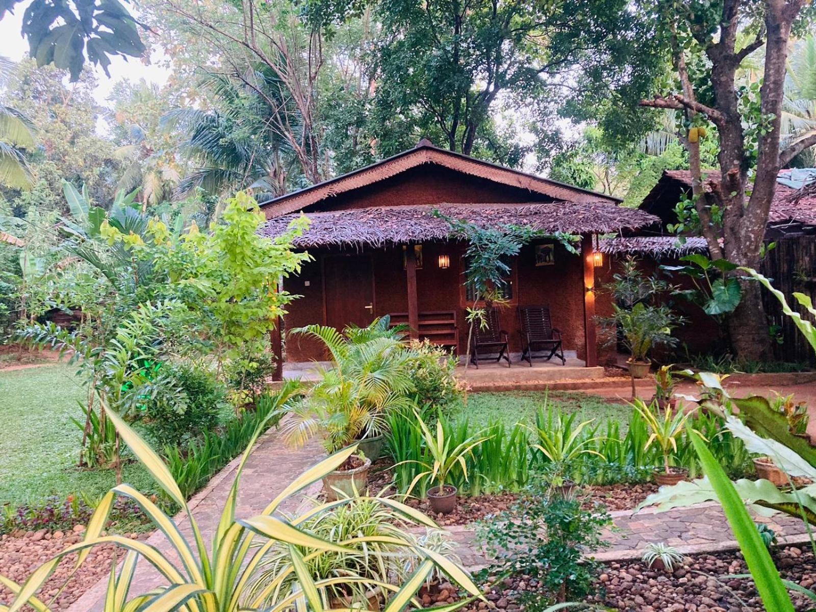 Green Paradise Cottage Udawalawa Udawalawe Bagian luar foto